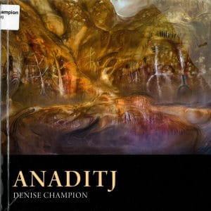 Anaditj book cover