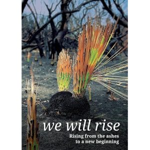 We Will Rise cover showing new growth in a fire-damaged landscape
